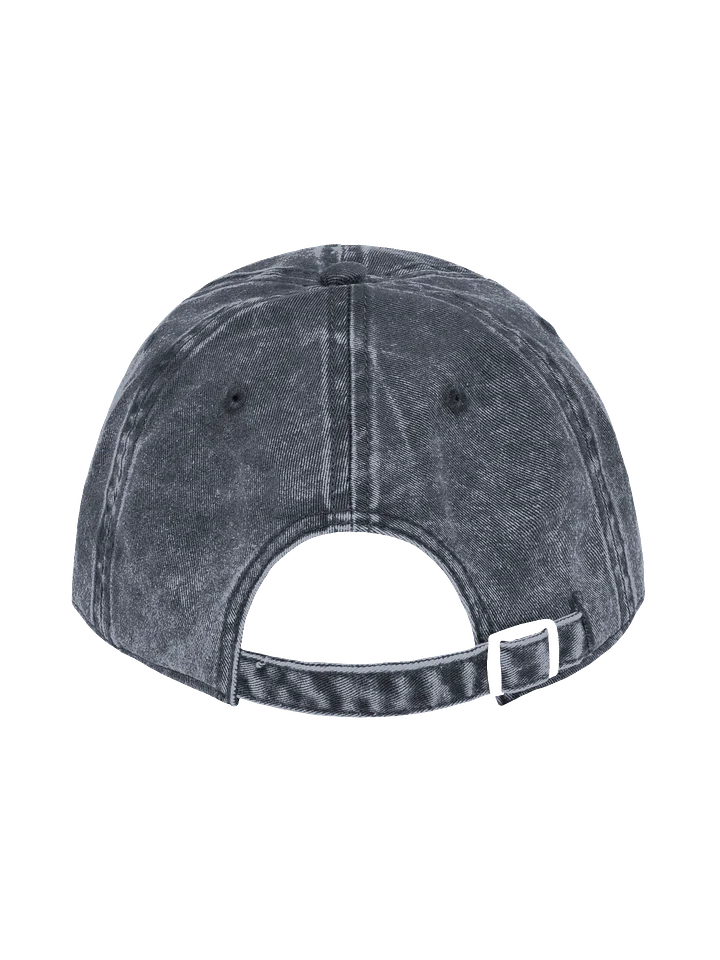 LSH Distressed Hat product image (7)