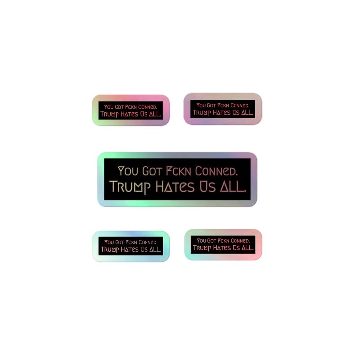 Resistor, You Got Fckn Conned (words only), NSFW Holo Sticker Pack product image (1)