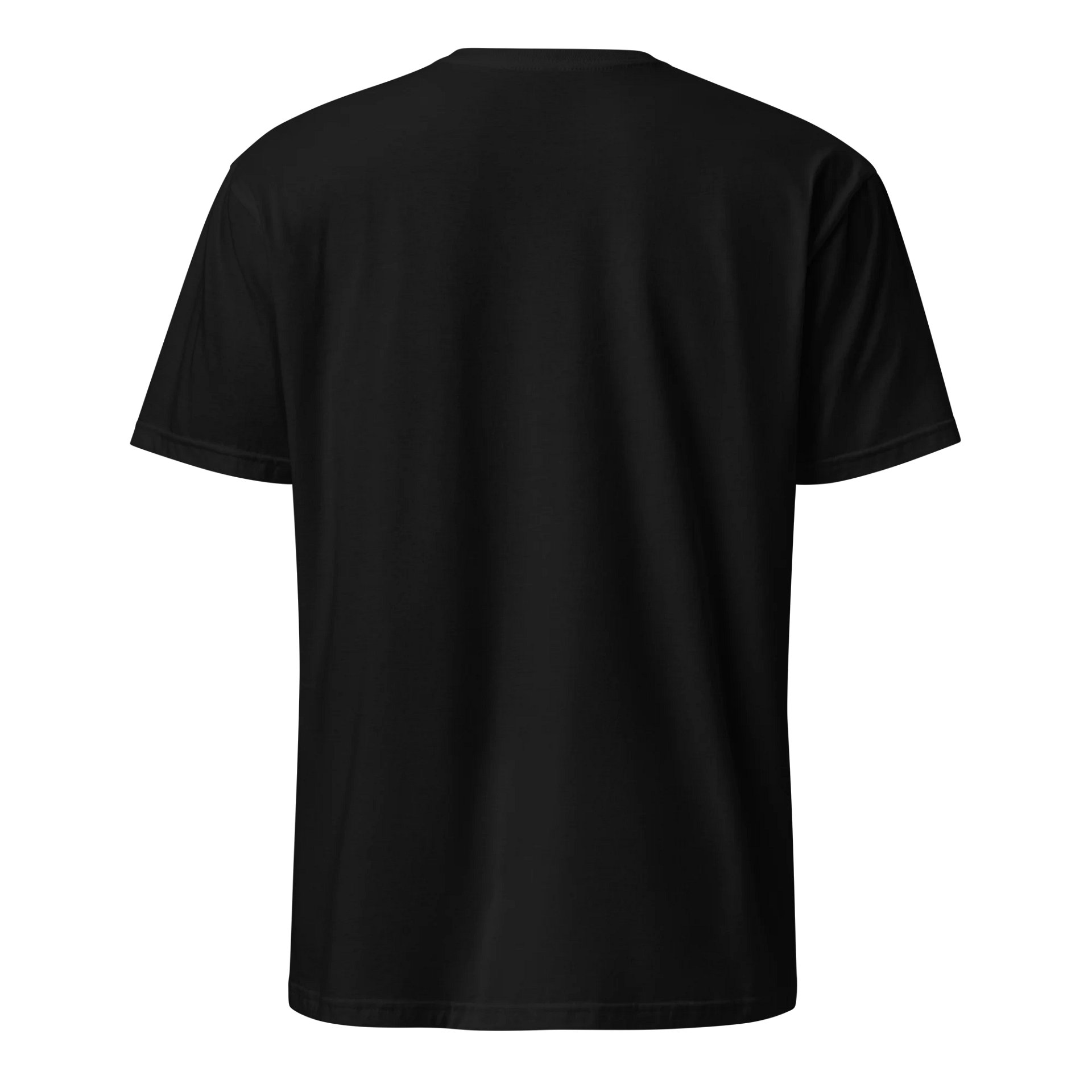 W.F.R. Tee product image (2)