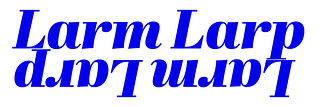 larmlarp.shop
