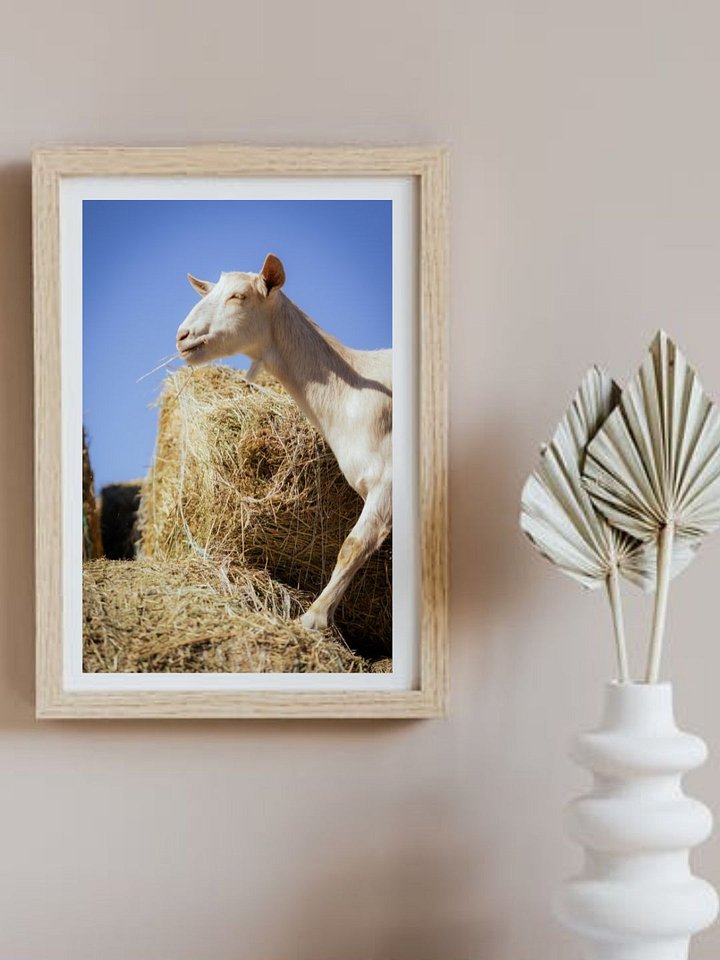 No Rush, Just Sky and Time product image (1)