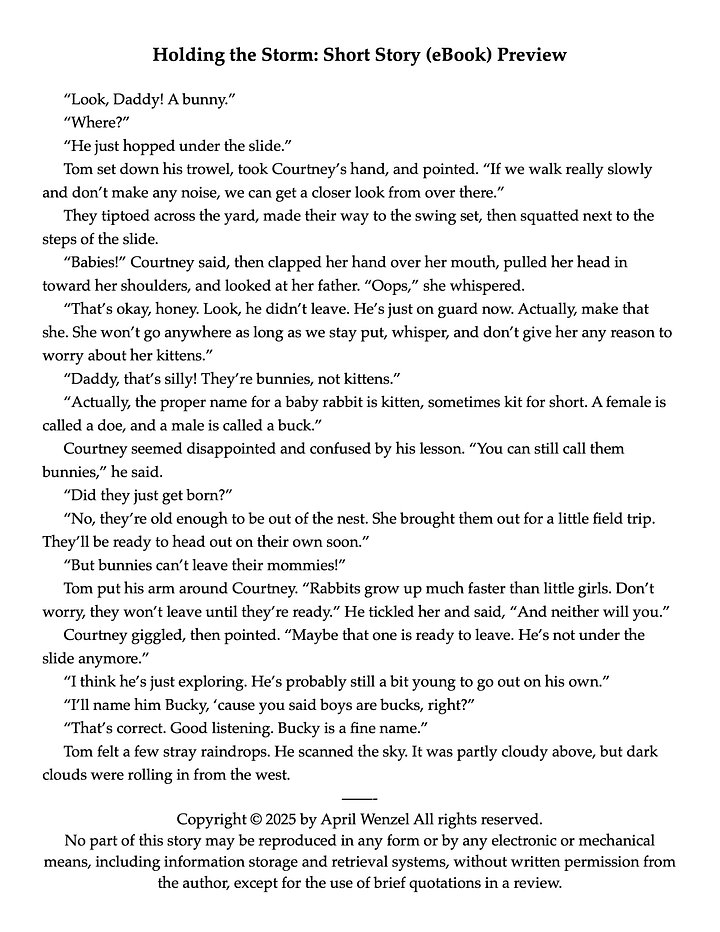 Holding the Storm: Short Story (eBook) product image (2)