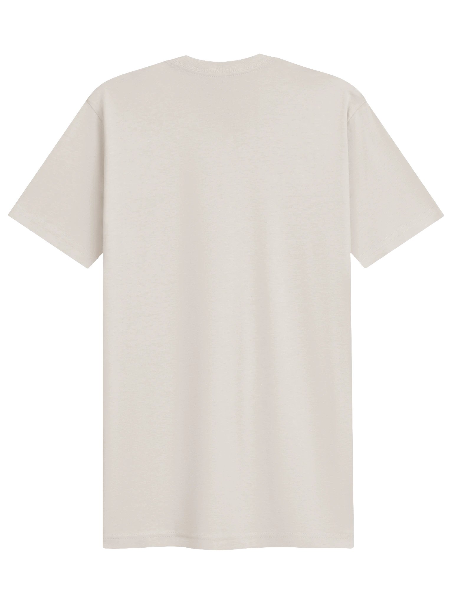 THE SLOP ECONOMY | Everyday Tee product image (10)