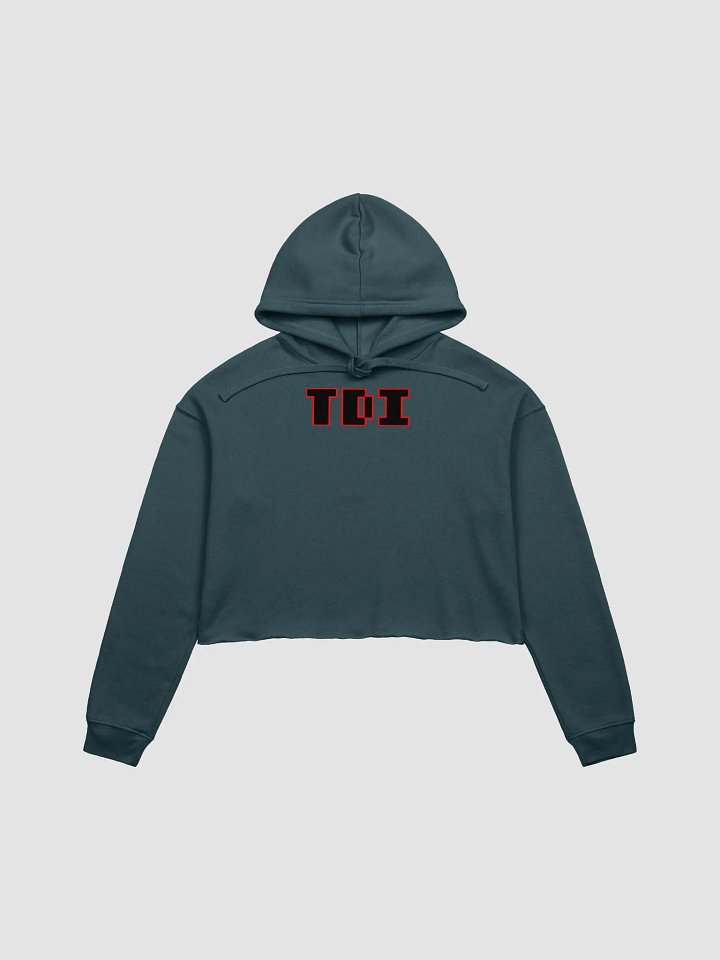 TDI Crop Hoodie product image (7)