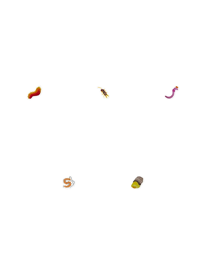 Sticky Bugs -Squiggly & Squirmy Bundle product image (1)