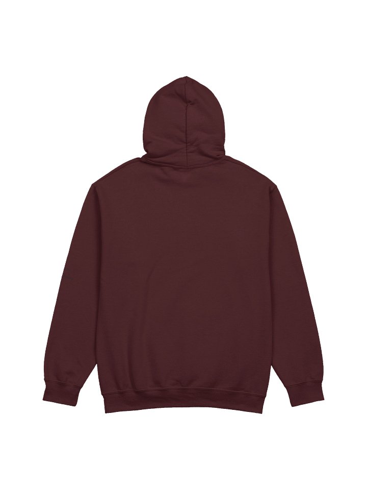 REIDOS Sonic Healing Script Hoodie product image (2)