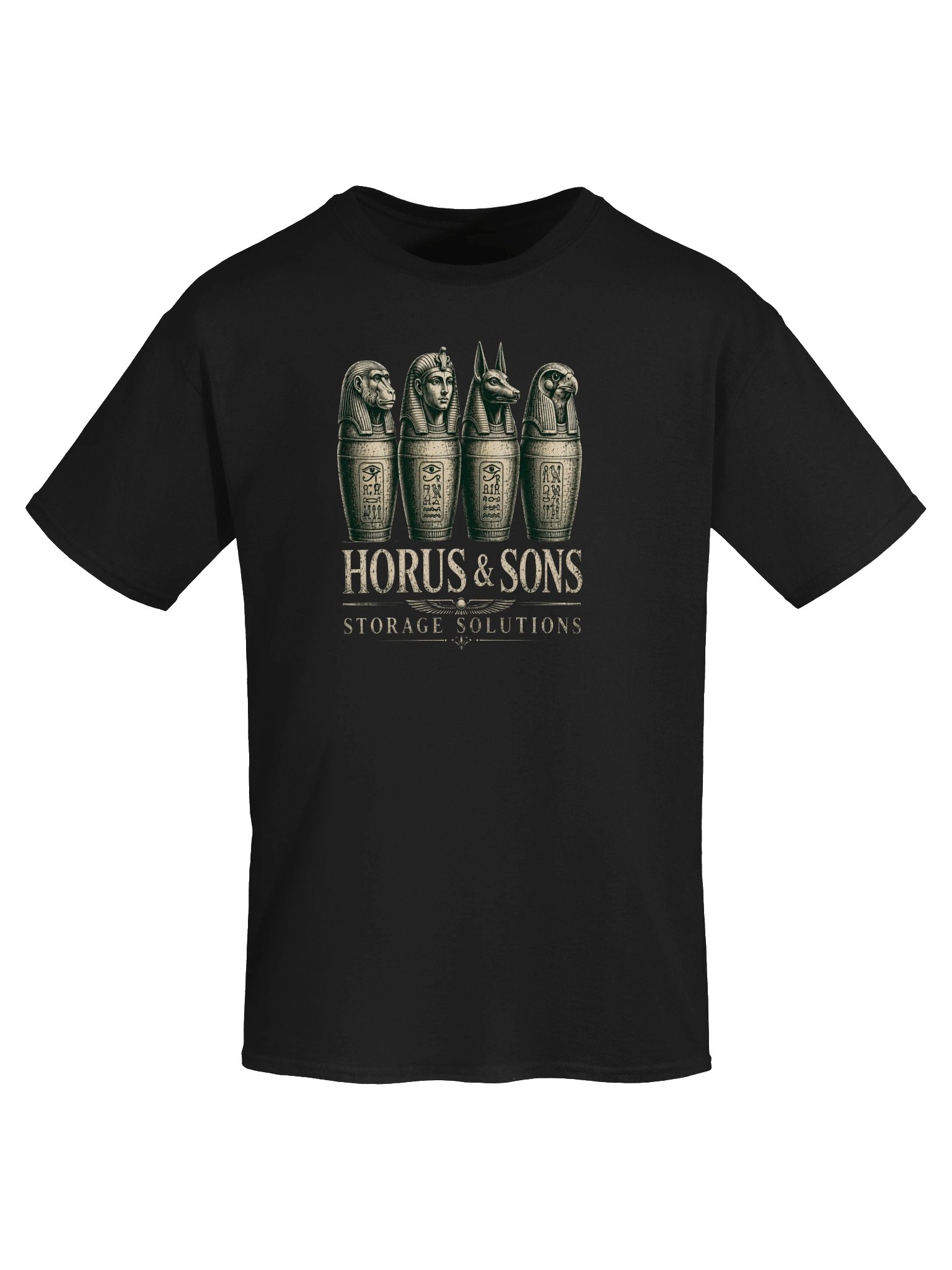 Horus and Sons Storage Solutions Ancient Egypt Humor T-Shirt, Egyptian History Gift, Ancient Egypt Graphic Tee, Funny Archaeology Shirt product image (57)