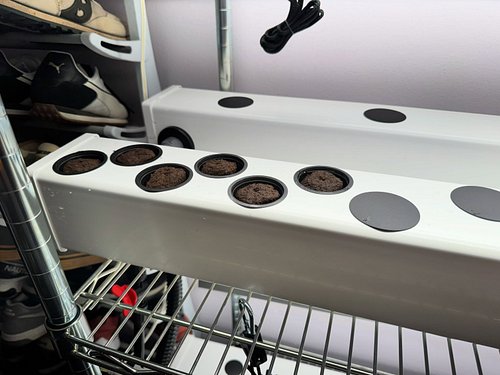 My latest mini-obsession is hydroponics (what with the death lettuce out there and all). I’m still in the “get rid of all the...