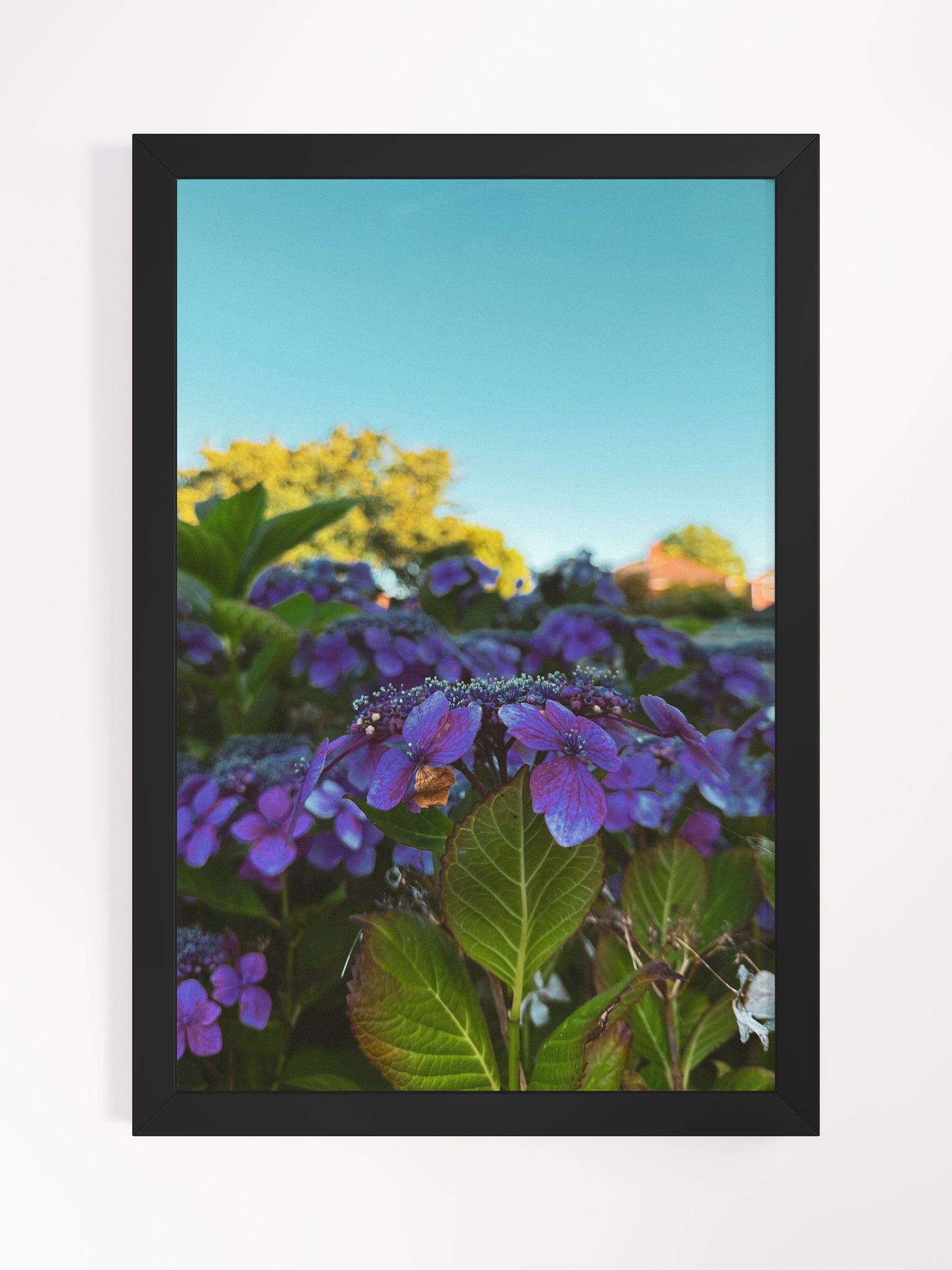 Vibrant Serenity product image (1)