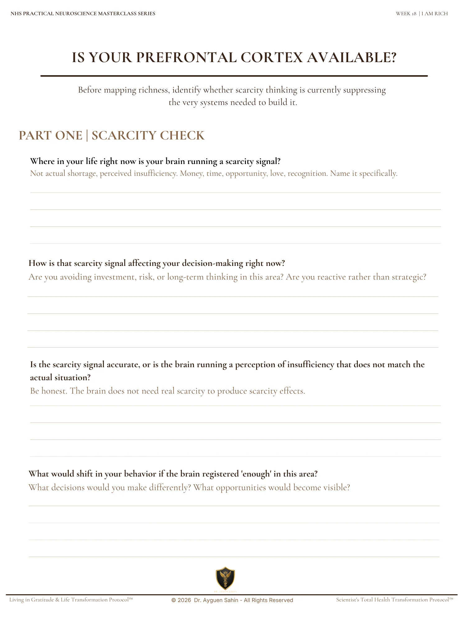 THE RICHNESS AUDIT product image (2)
