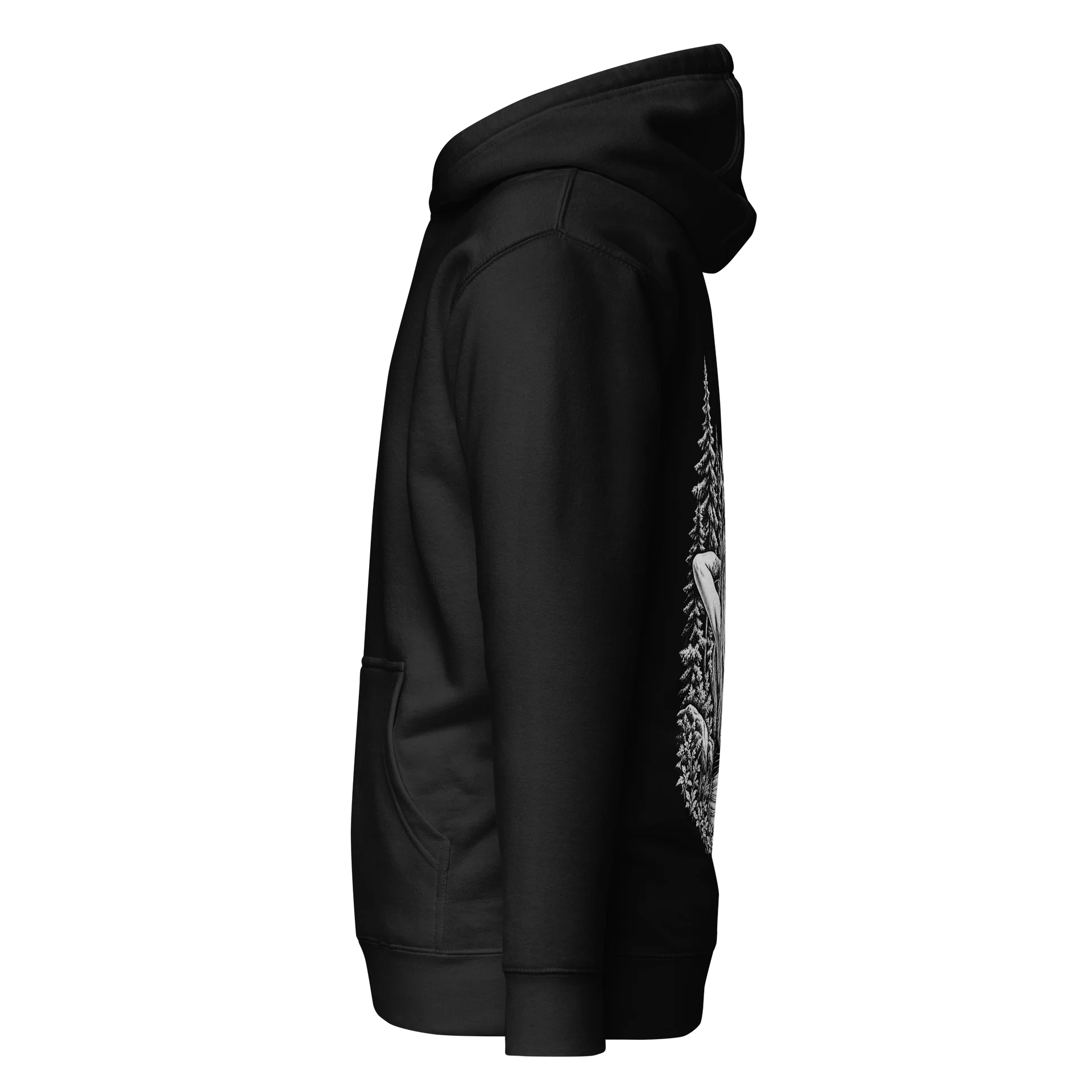 Arrow to the Peaks Hoodie product image (7)