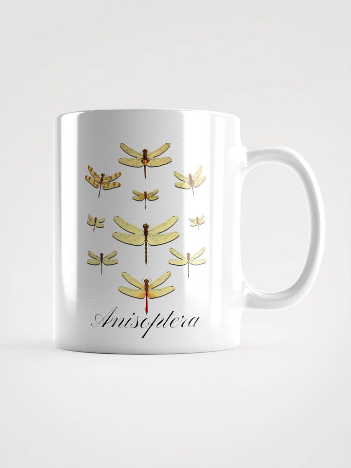 Anisoptera Elegance: Vintage Dragonfly product image (1)