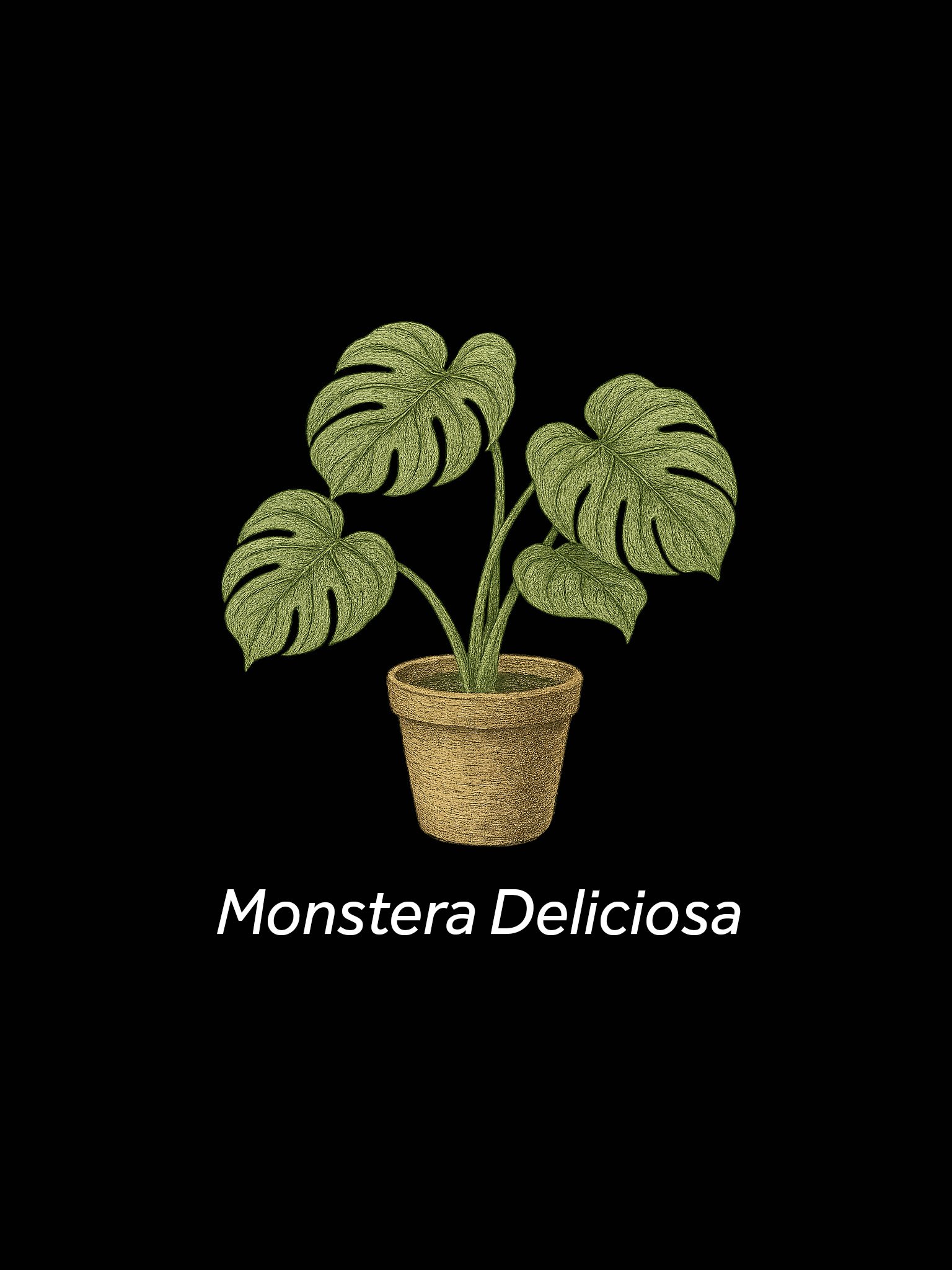 Air Purifying Home Plants Poster product image (4)