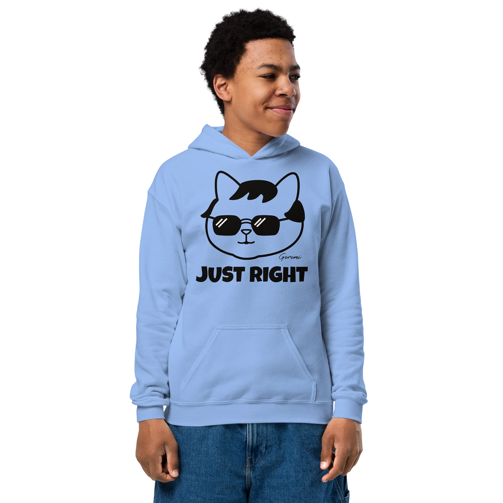 Goromi the Cat (JUST RIGHT) - Unisex Youth Hoodie product image (2)