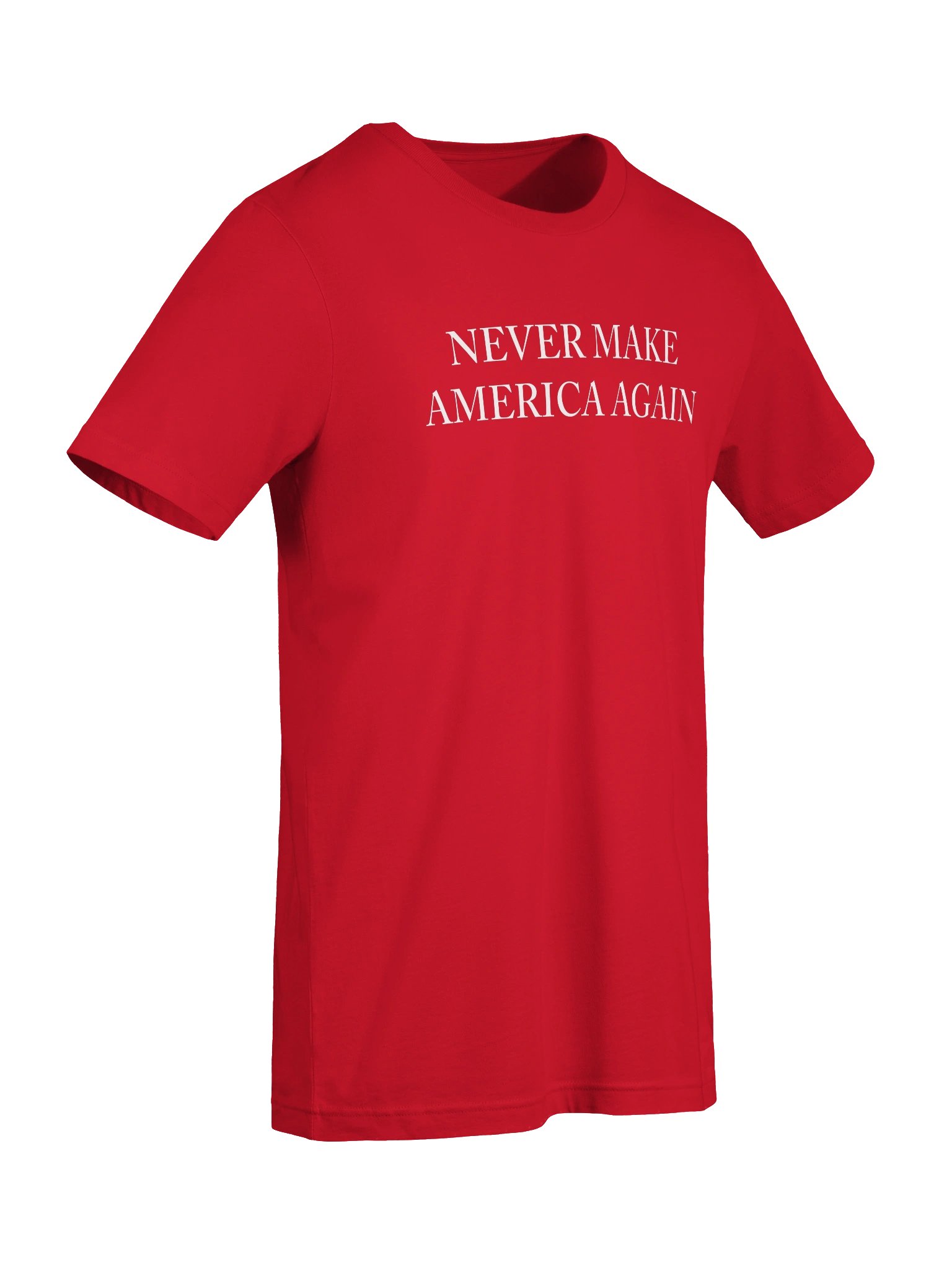 NEVER MAKE AMERICA AGAIN product image (7)