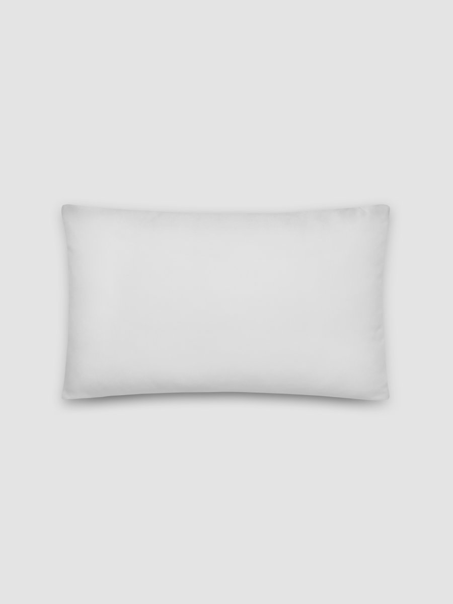 The Coordinates Pillow product image (3)