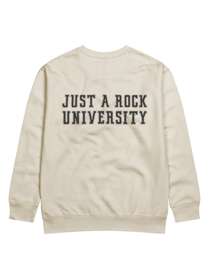 University Sweatshirt product image (2)