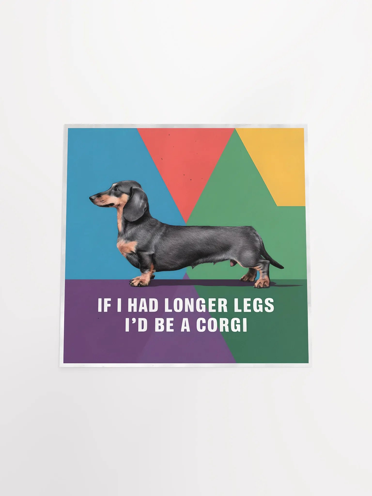 Dachshund product image (19)