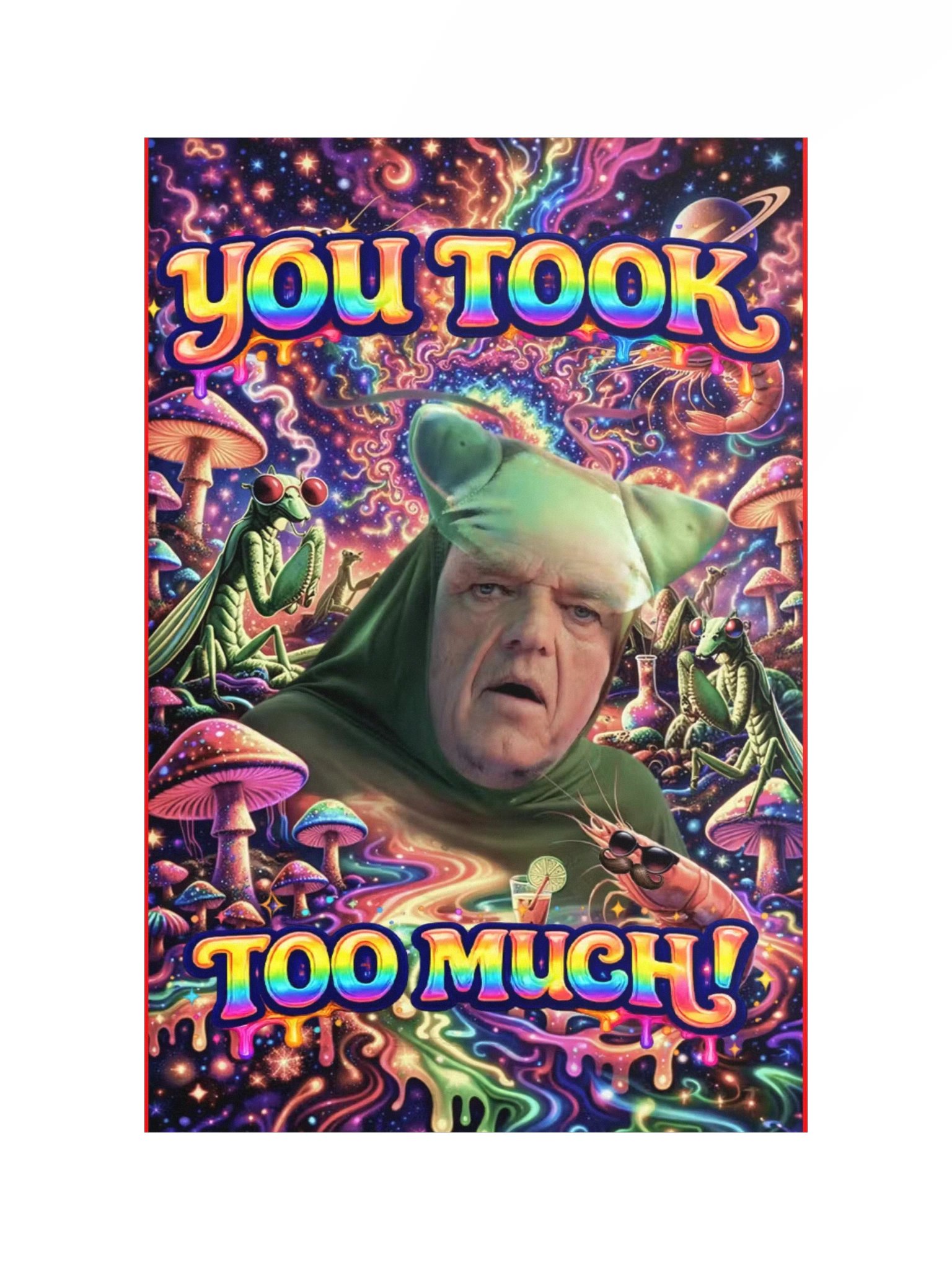 you took too much poster