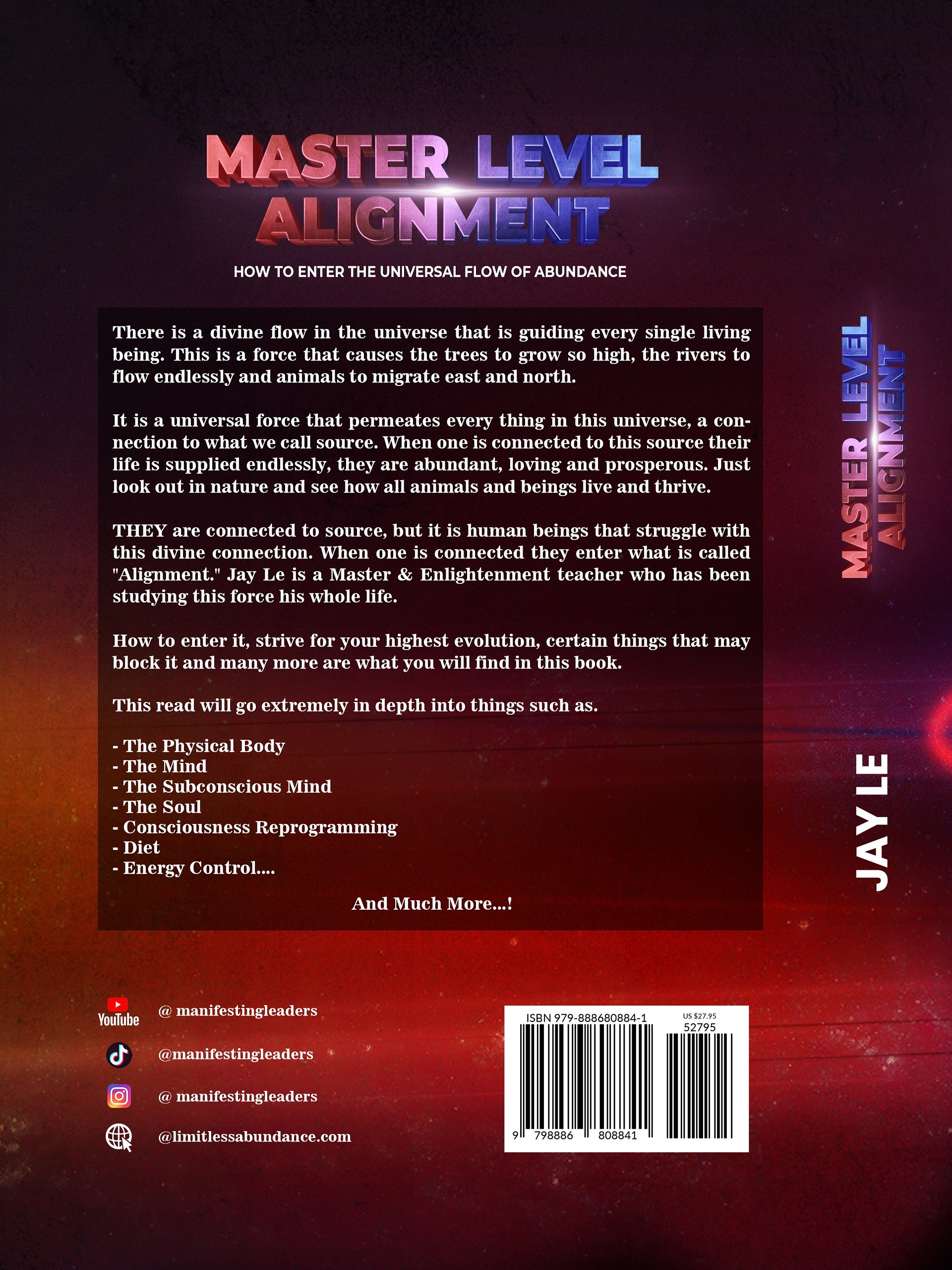 Master Level Alignment AudioBook product image (2)