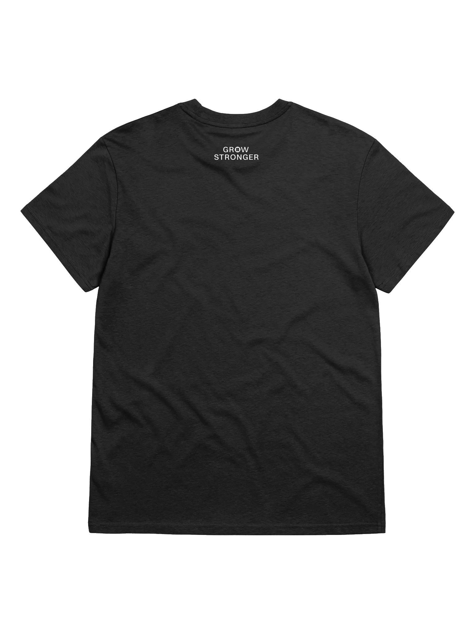 LYFT Strength Club - Stanley/Stella Organic Cotton T-Shirt product image (10)