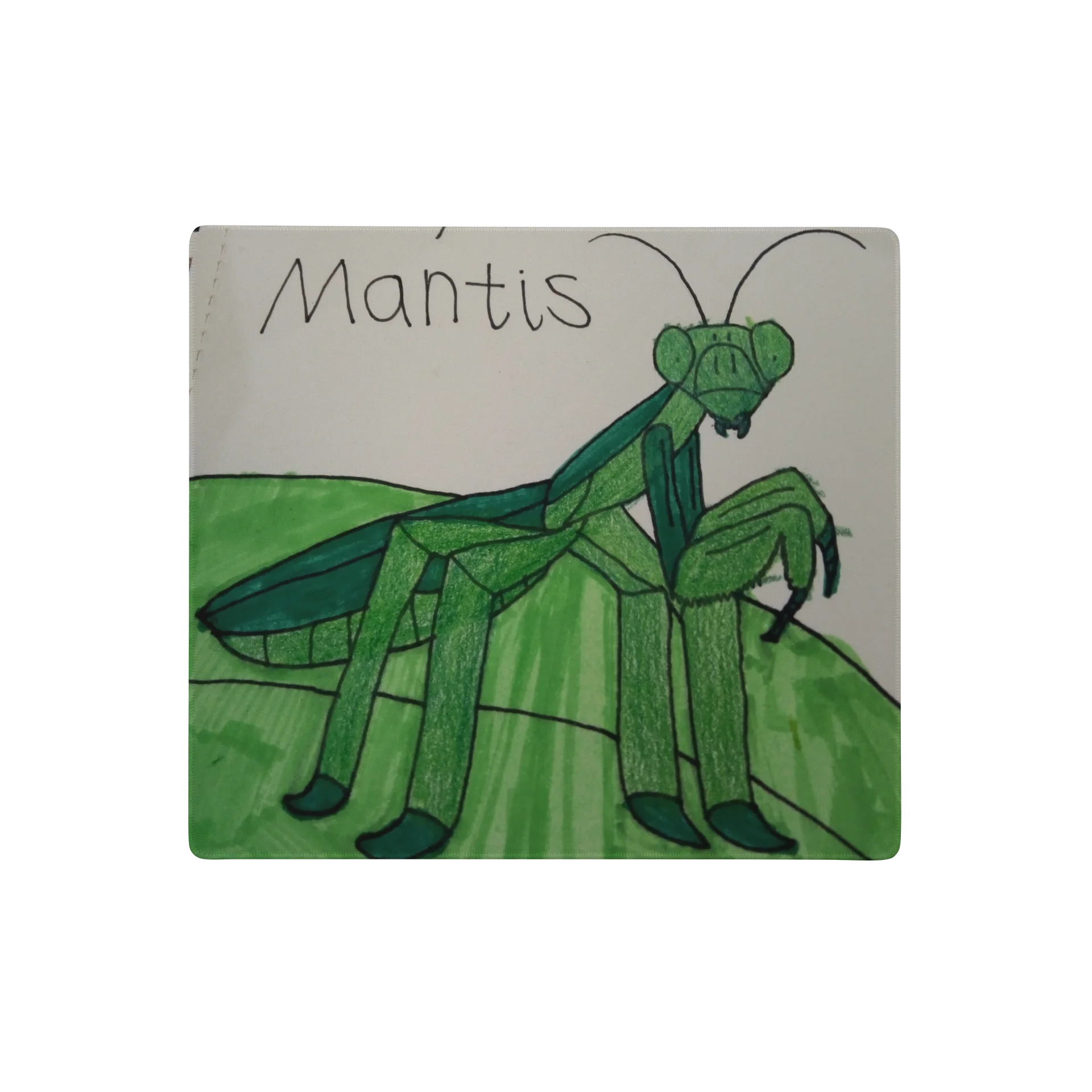 Pray mantis Gaming Mouse Pad product image (1)