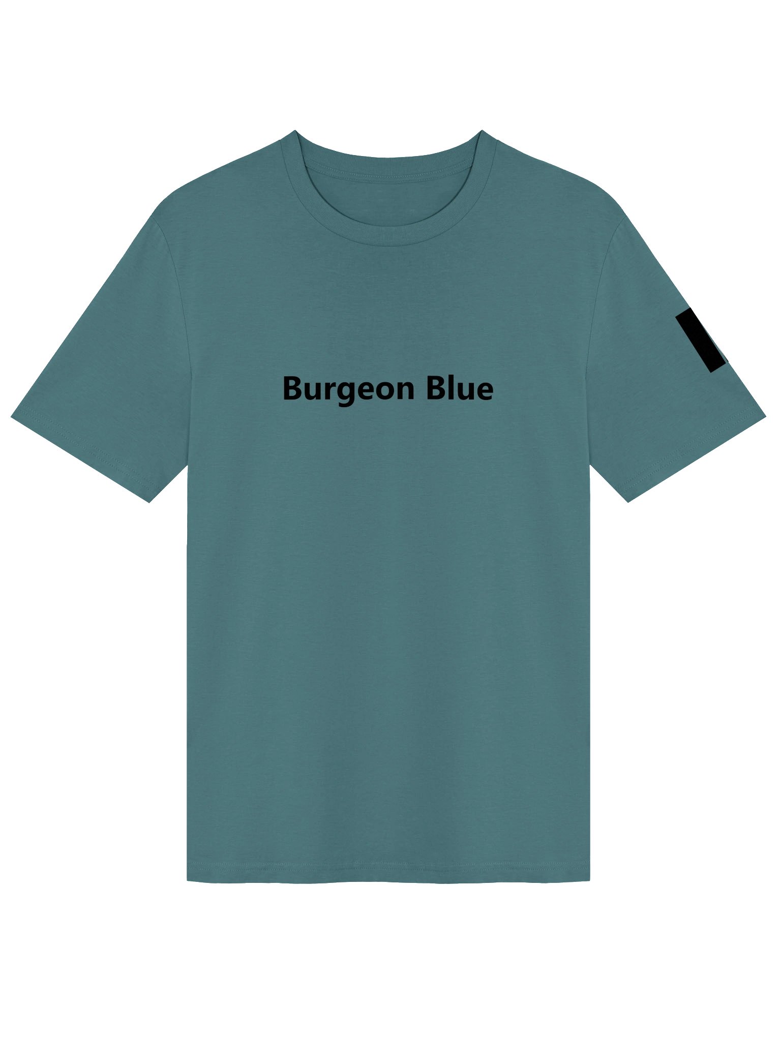 Burgeon Blue - Classic Organic Tee - Front product image (3)