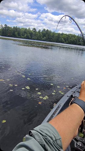 Today was more about quality then quantity for sure, thought I lost this one in the weeds too! #kayakfishing #fishing #bassfi...