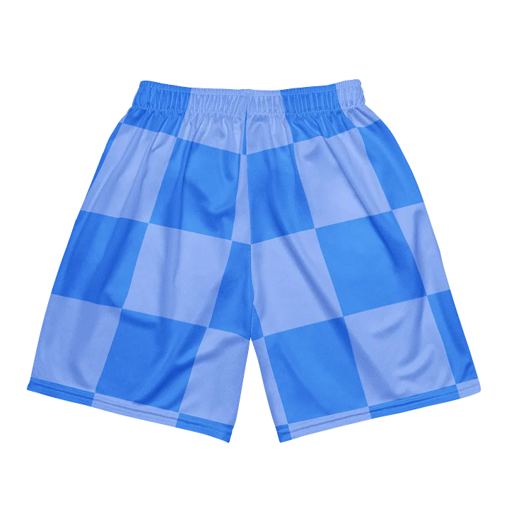 Checkered Basketball Shorts - Davis Blue product image (2)