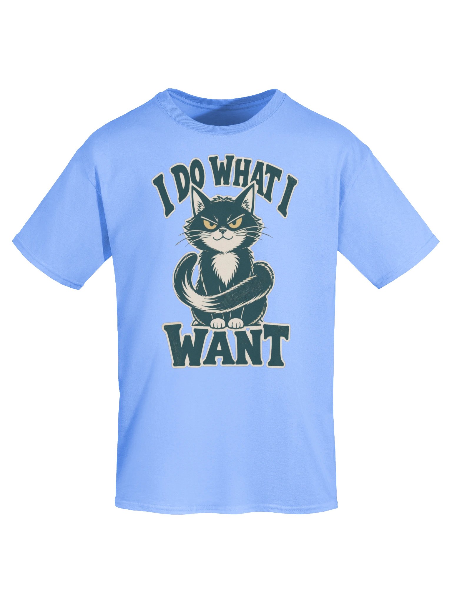 I Do What I Want Cat T-Shirt – Funny Vintage Cat Lover Graphic product image (47)