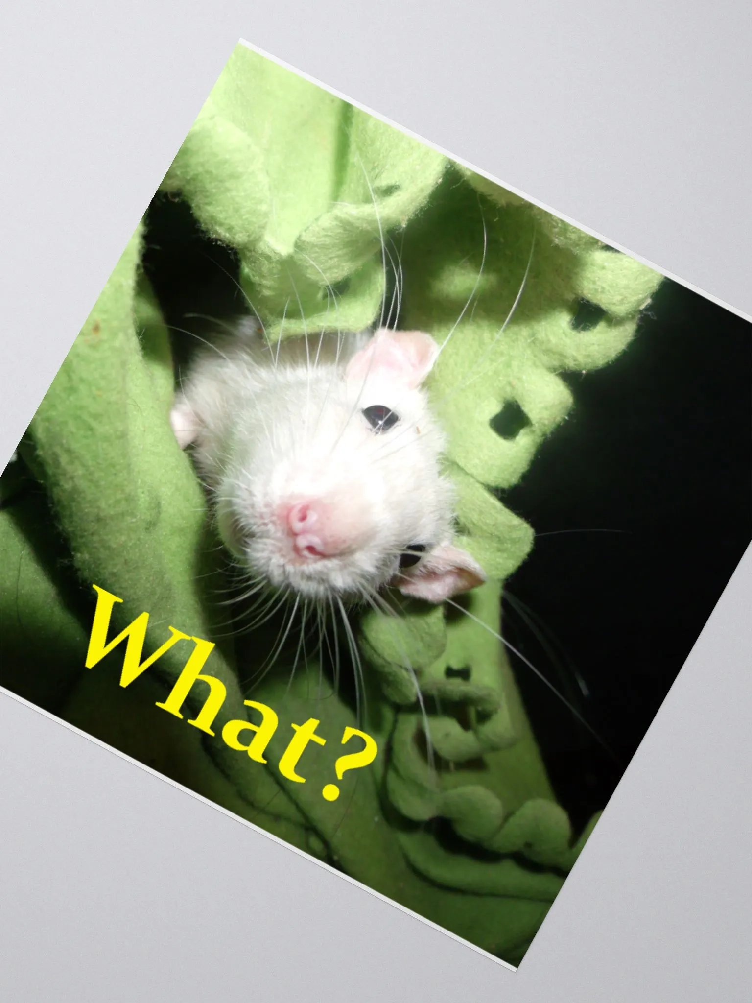 What? sticker product image (6)