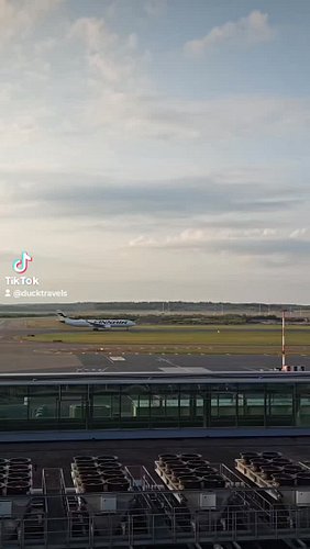 👀 Flight Wars: Finnair vs. Japan Airlines! ✈️ Airbus vs. Boeing 🛬 #OneWorld #Airbus #Boeing