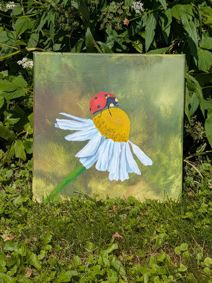 "Little Red Wonder" product image (1)