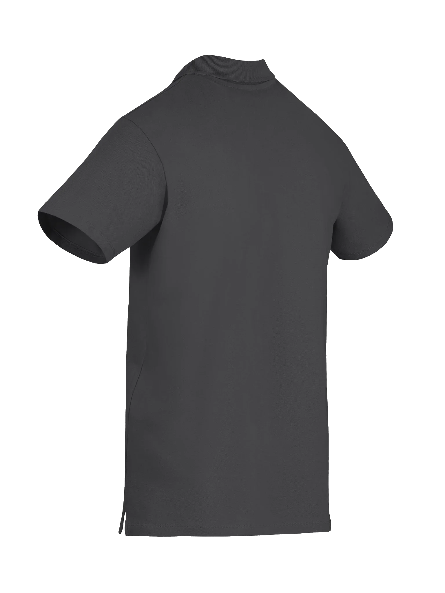 Electronics Engineers Amplify Their Potential Polo Shirt product image (8)