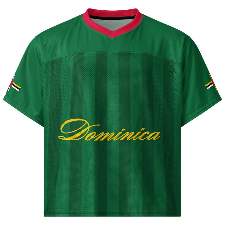 Dominica Boxy Sports Tee product image (1)