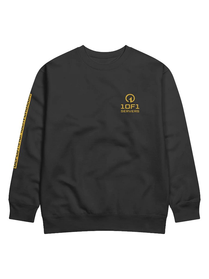 1OF1 Sweatshirt - Online w/ Logo product image (1)