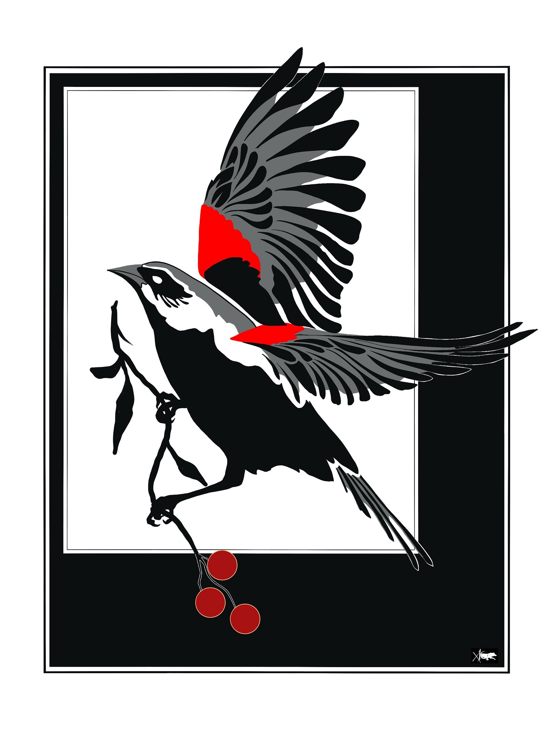 Red winged Blackbird product image (1)