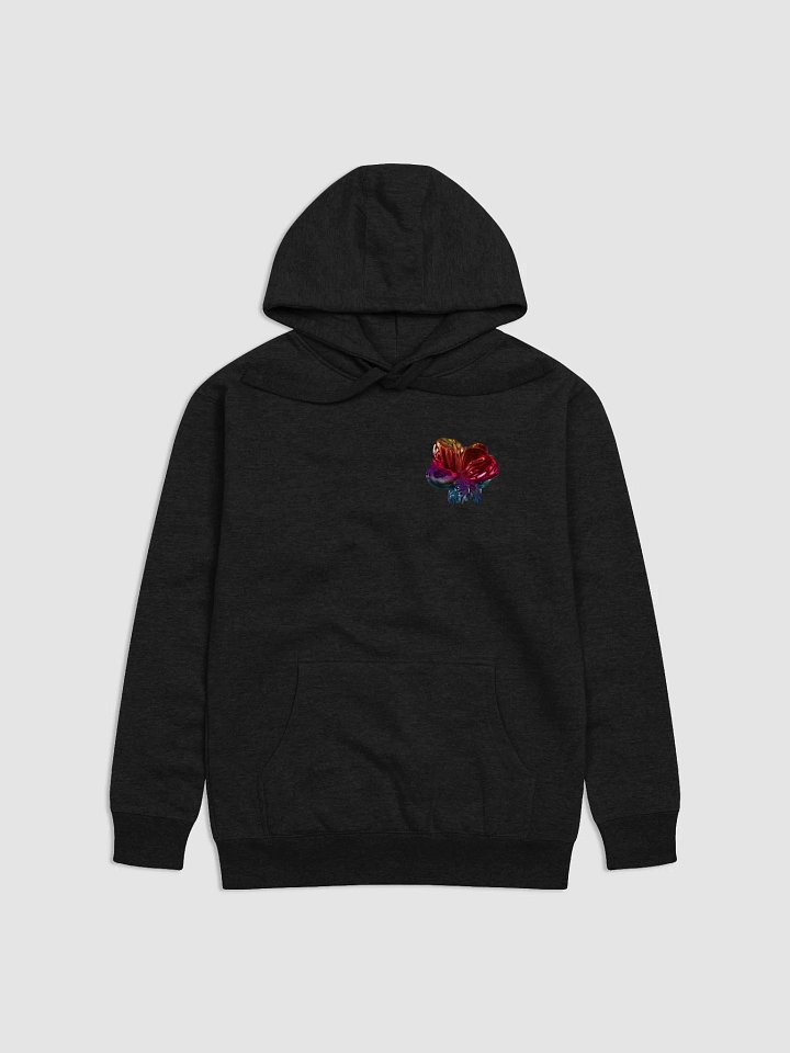 Magnetic Monopole Hoodie product image (1)