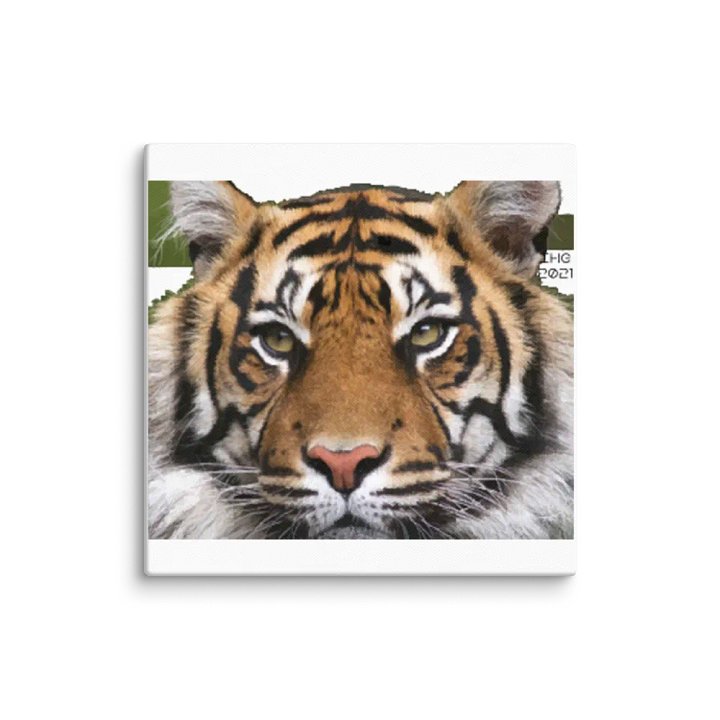 Tiger Digital Drawing Canvas product image (1)