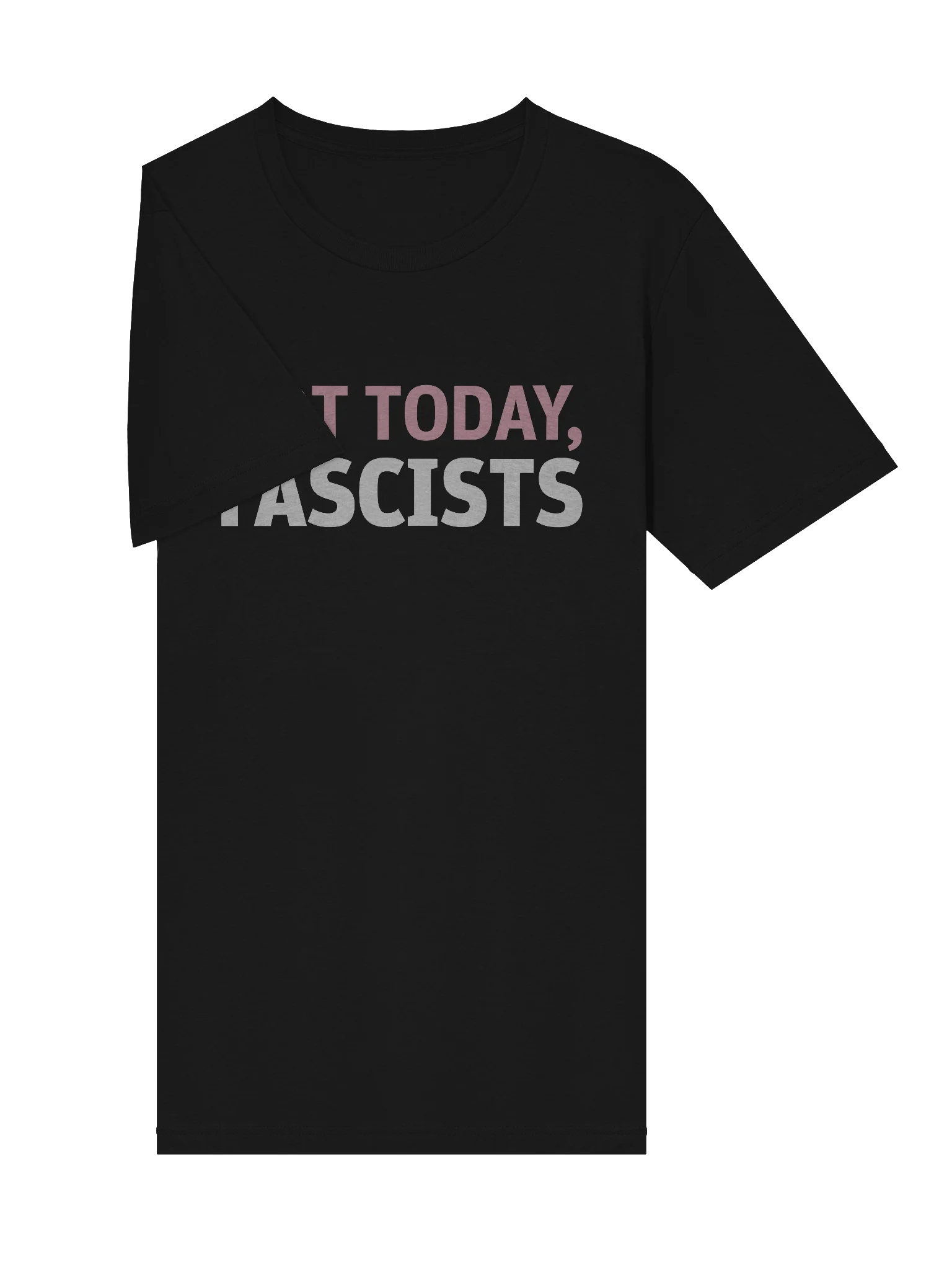 Not Today, Fascists Unisex T-Shirt product image (5)