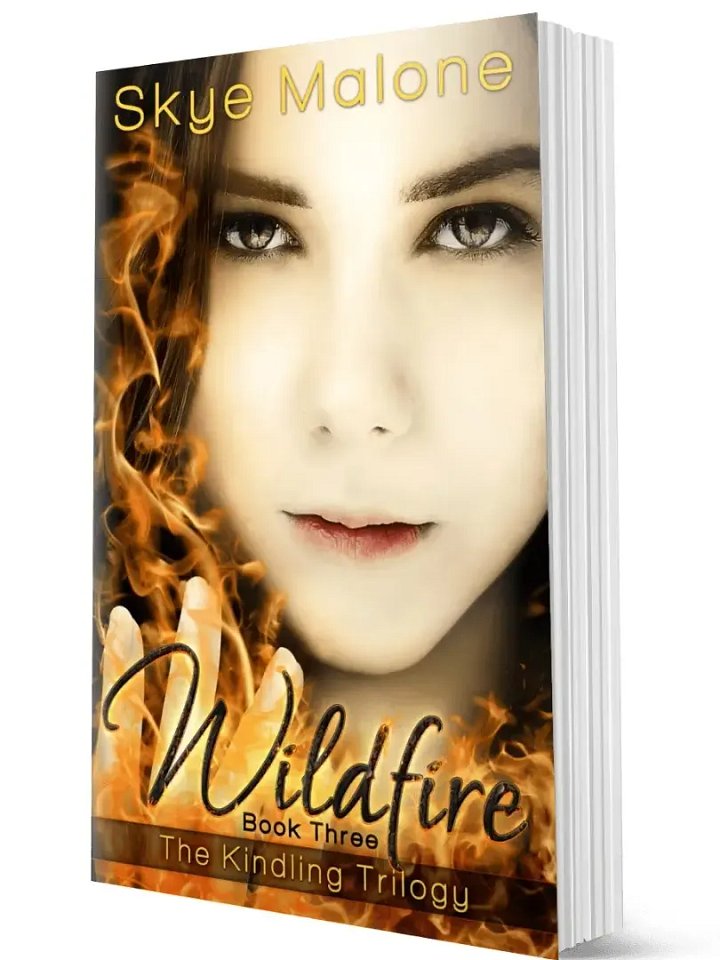 Wildfire (Kindling Trilogy #3) product image (1)