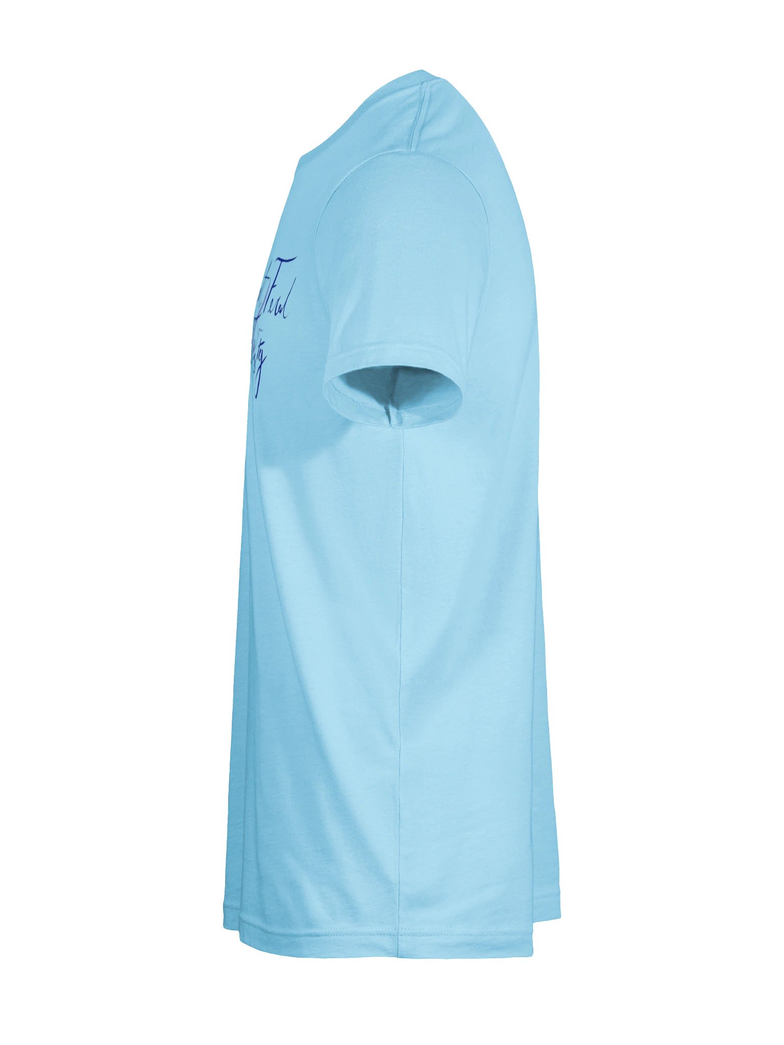 Short, Feral, and Feisty Shirt product image (89)