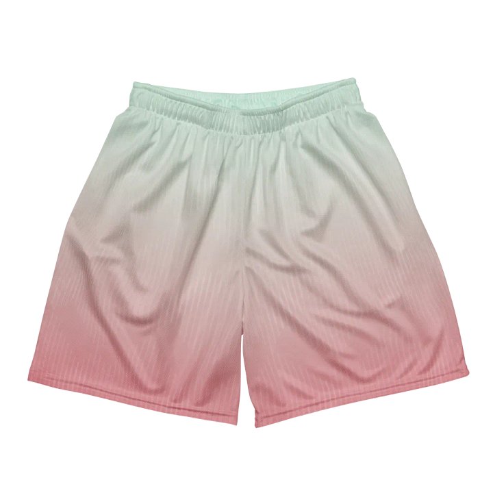EcoChic Gradient Mesh Shorts product image (2)