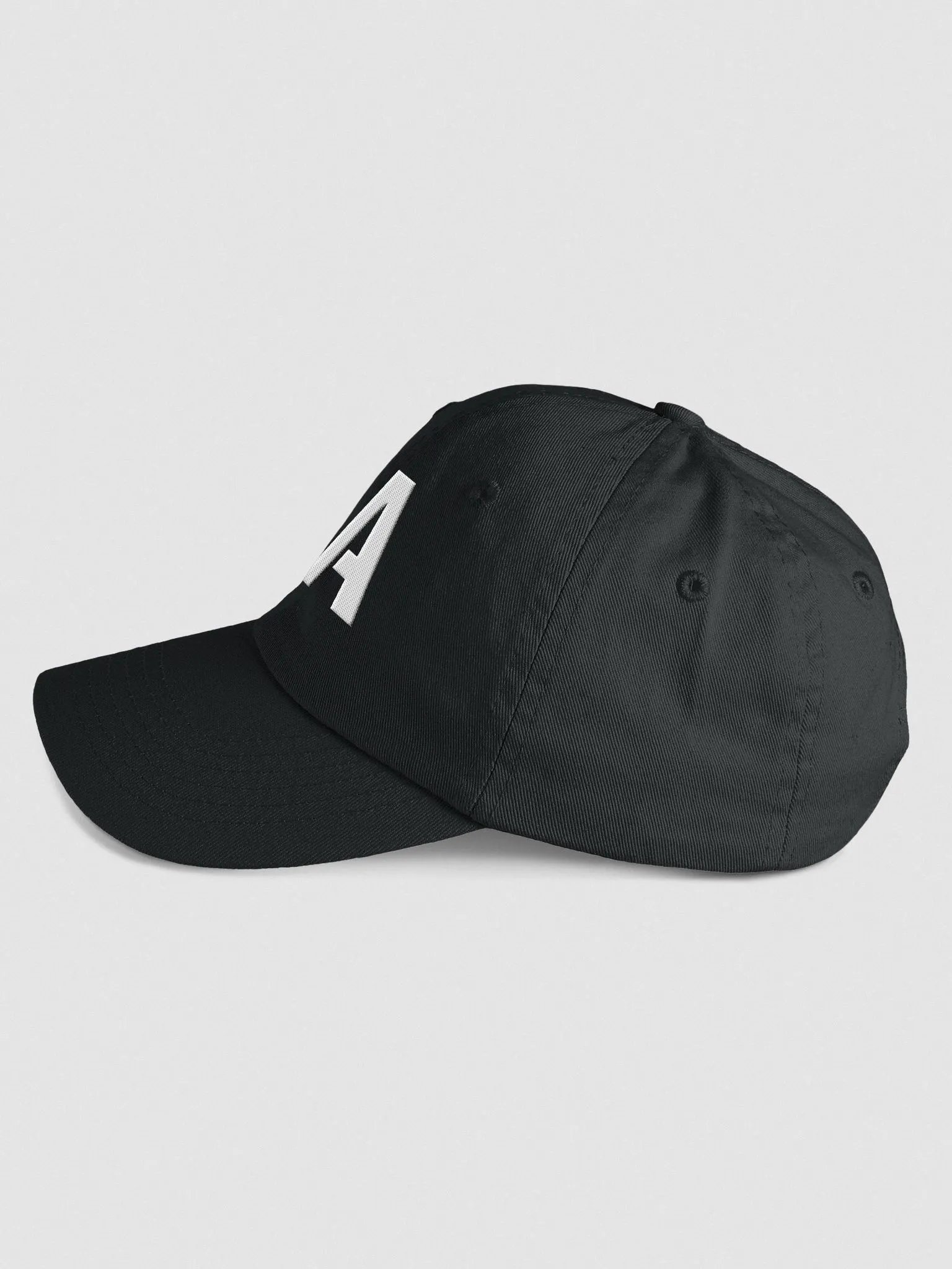 2A Youth Biowashed Dad Hat product image (2)