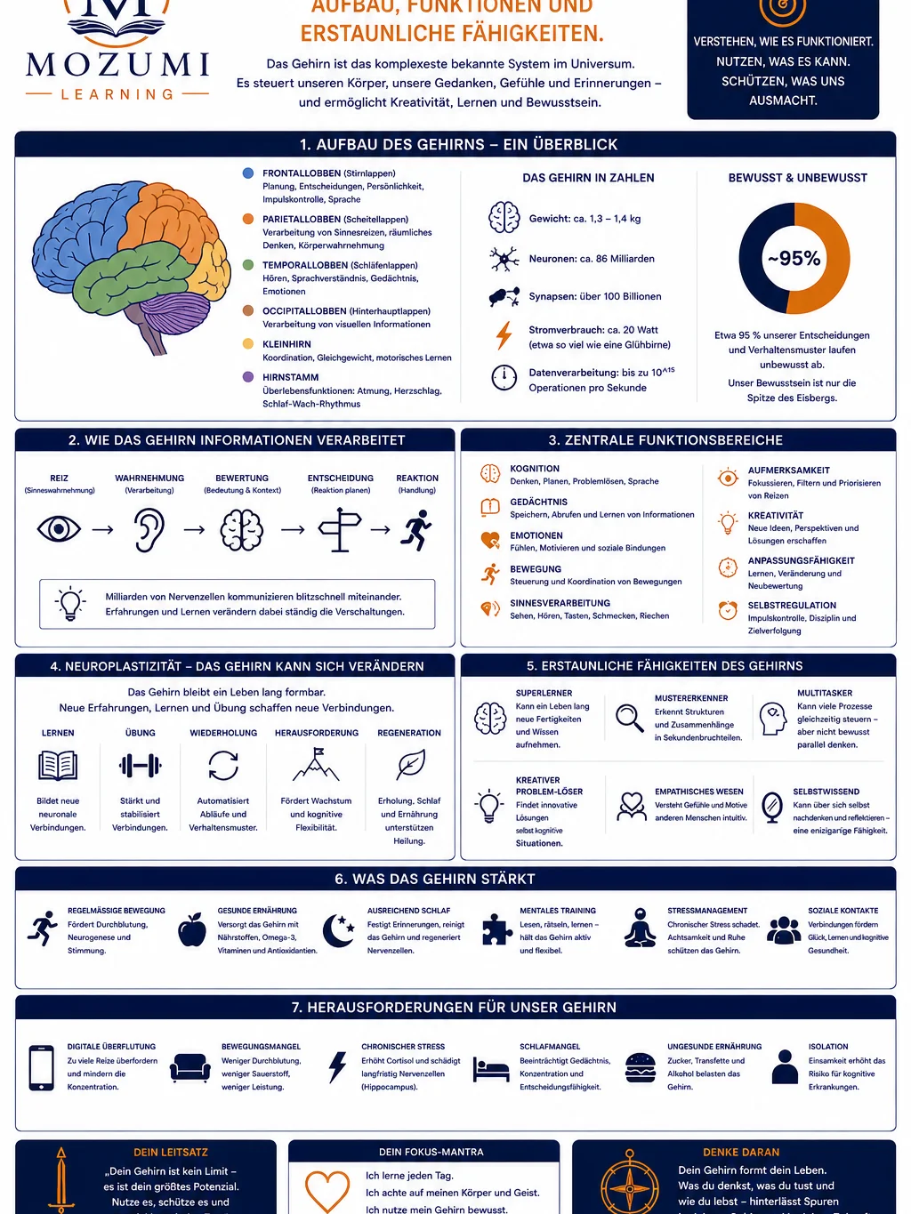 WISSEN & WISSENSCHAFT - Infografik Nr. 2 (Das menschliche Gehirn) product image (1)
