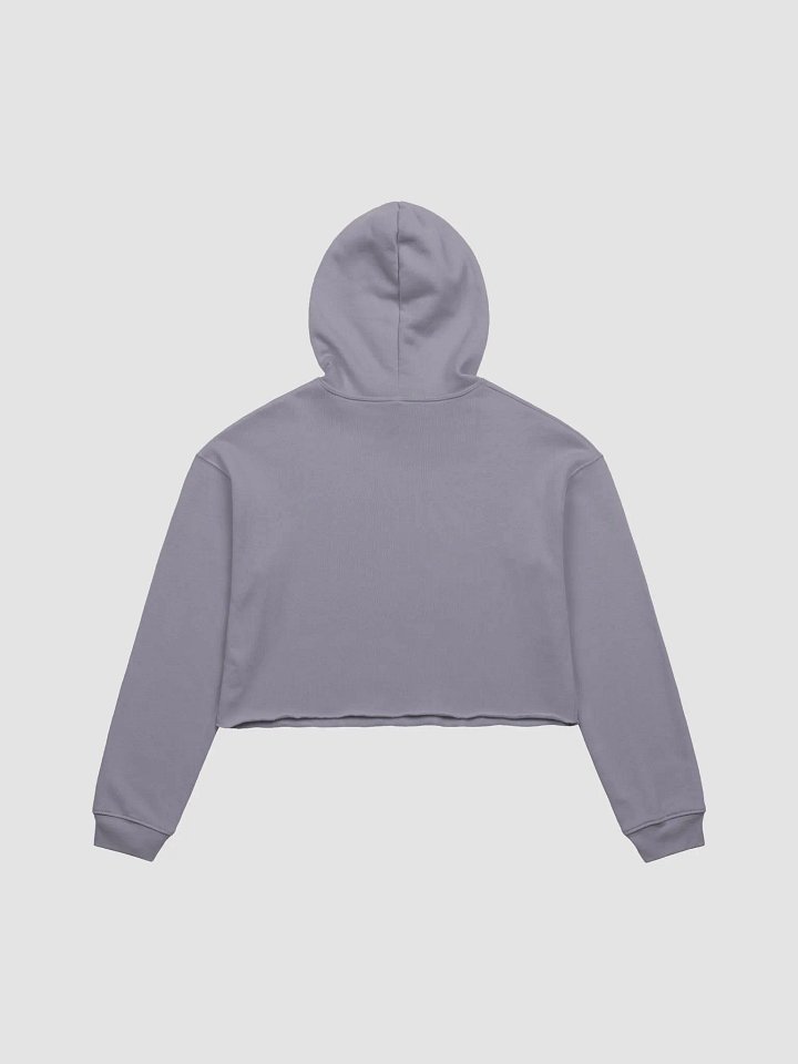 Grey crop hoodie 