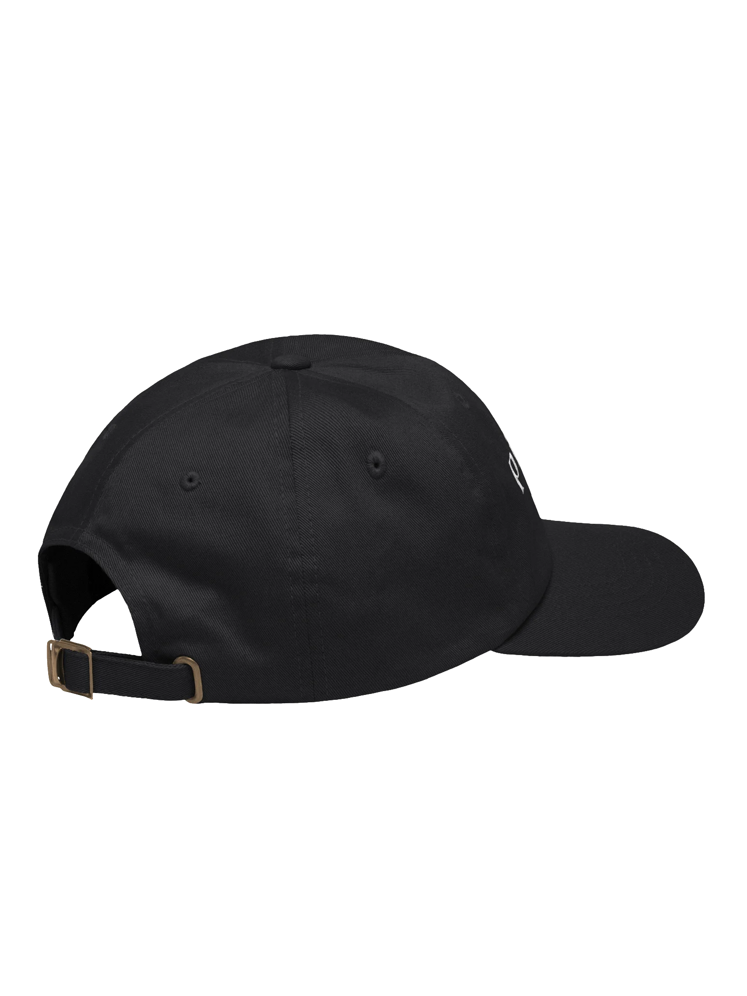 pisces af Hat product image (4)