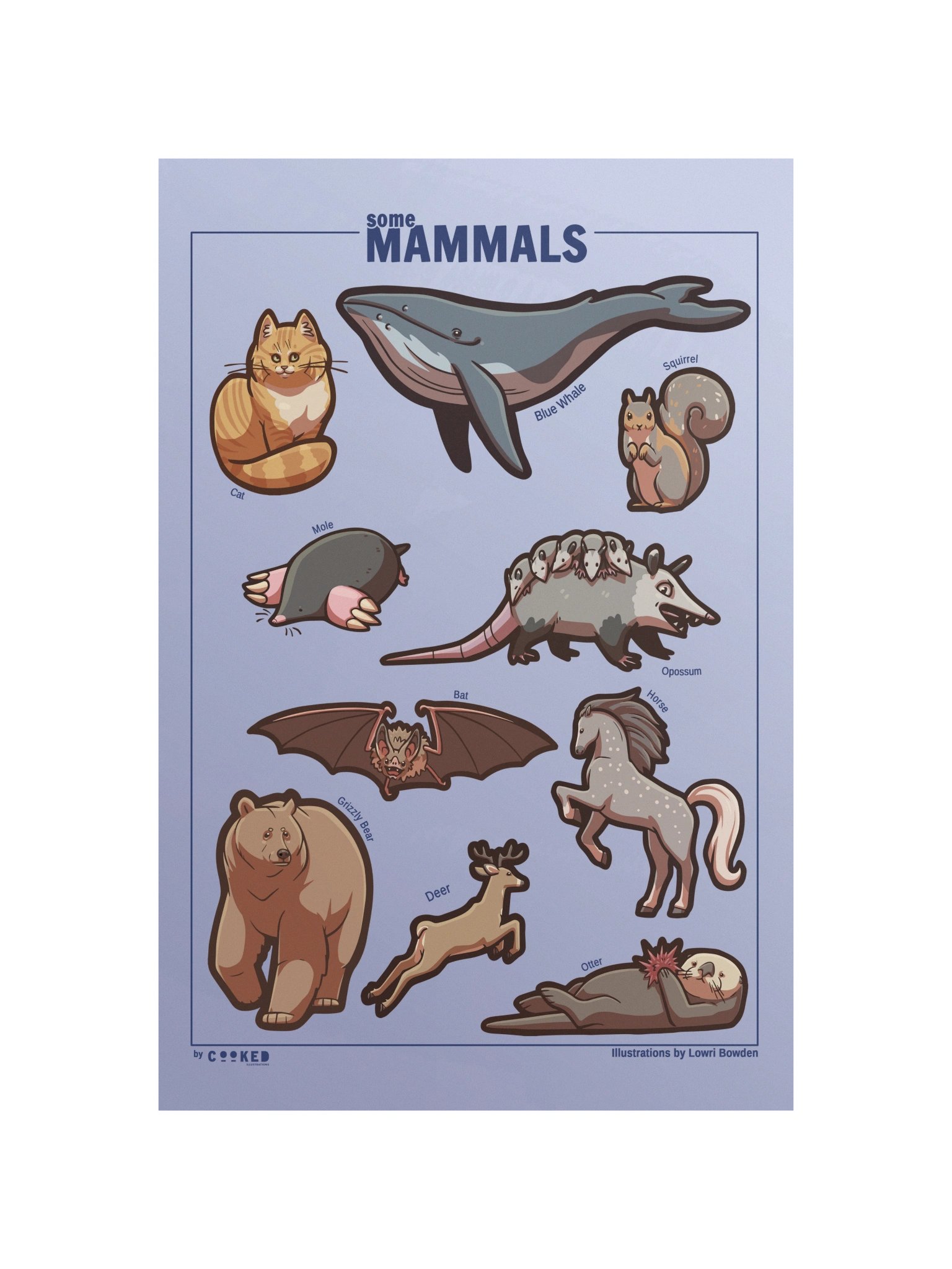 An Abundance of Mammals Poster - 10 Illustrated Mammals - Original Illustrated Poster product image (1)