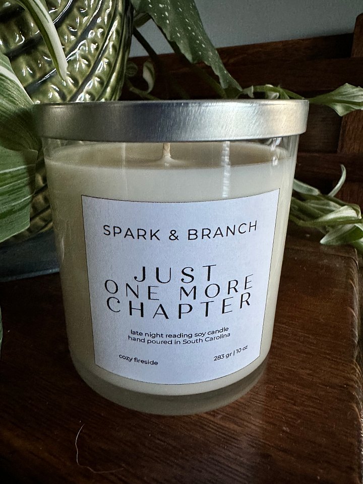 📖 Just One More Chapter Book Lover Candle product image (1)