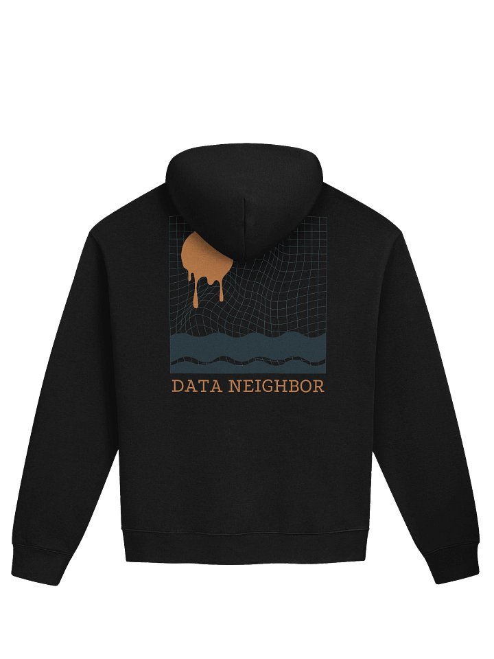 Data Drift Hoodie product image (1)